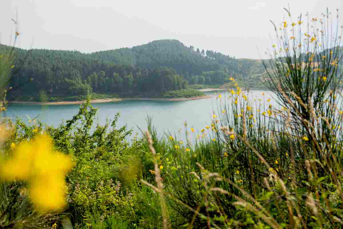 Parco nazionale della Sila spettacolo