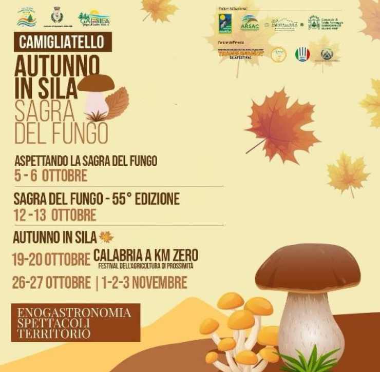 Sagra del Fungo Camigliatello Silano programma